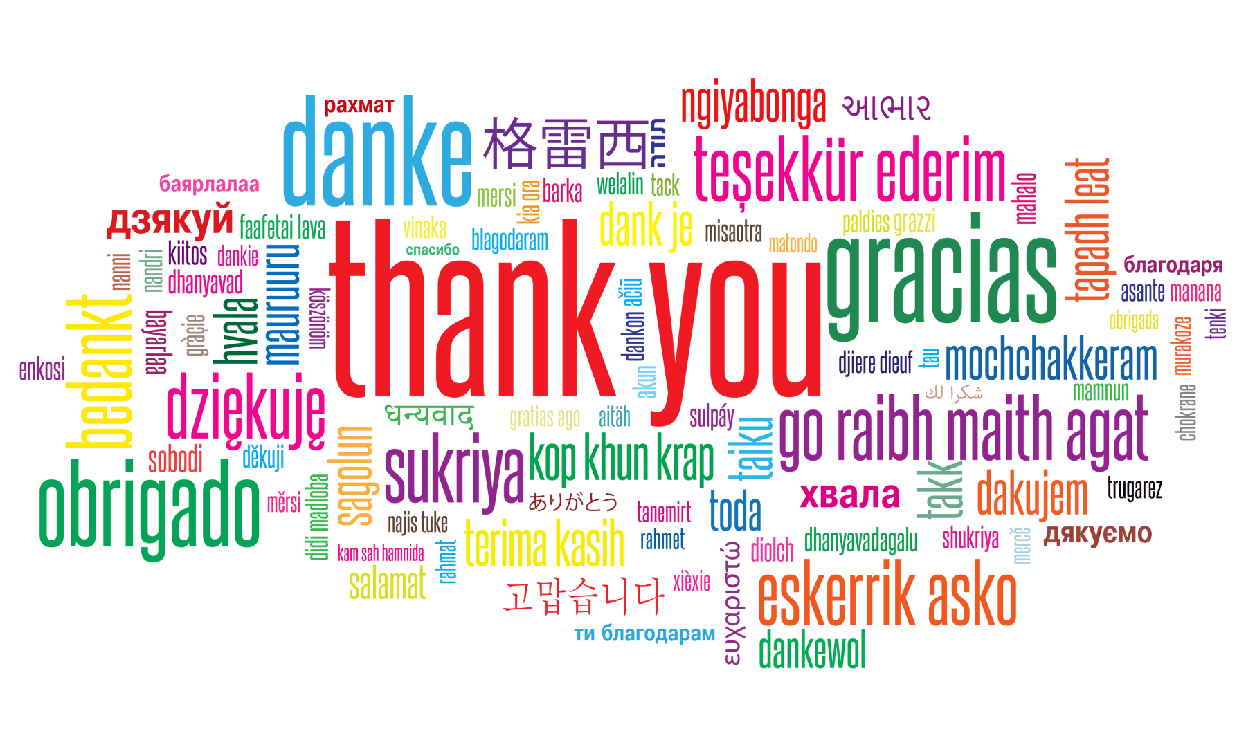 The Power of “Thank You” - StarterStudio